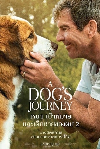 A Dog's Journey (2019) หมา เป้าหมาย และเด็กชายของผม 2