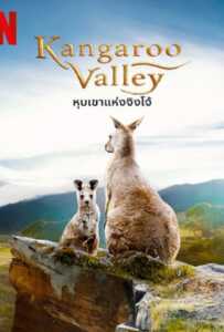 Kangaroo Valley (2022) หุบเขาแห่งจิงโจ้